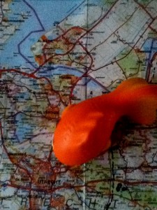 goldfish on a map
