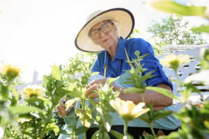 Gardening can help improve mood and lower levels of stress. 