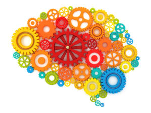 A brain-shaped image created by plastic cogs and wheels indicates how the brain changes after a stroke.